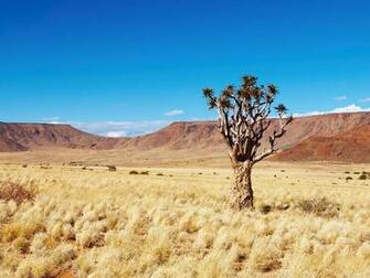 Kalahari Desert Wallpaper Desicomments