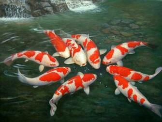 Koi Fish Live Wallpaper Loopele