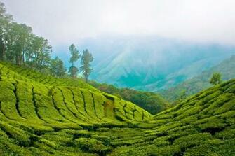 Kerala HD Wallpaper