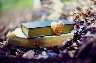 Old Book Leaves Park Heart Love Fall Autumn Bokeh Mood Wallpaper