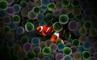 Circus Clown Fish By Rebstile