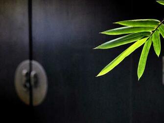 Mac For Pc Windows Good Phone Background HD Nature Wallpaper