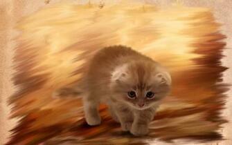 Furry Kitten Cat Painting Wallpaper HD Desktop And Mobile