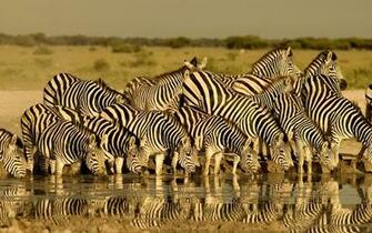 Index Of Assets Image Southern Africa Botswana