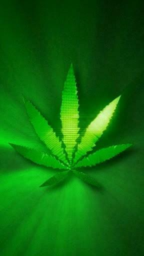 Mary Jane Weed Wallpaper Live