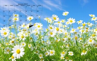 Nature Wallpaper