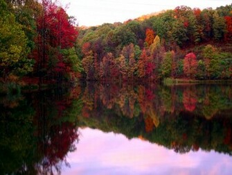 Fall Jpg