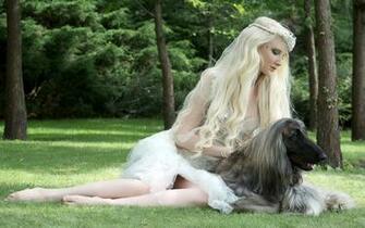 Wallpaper Sighthound Afghan Hound Dogs Blonde Girl Girls