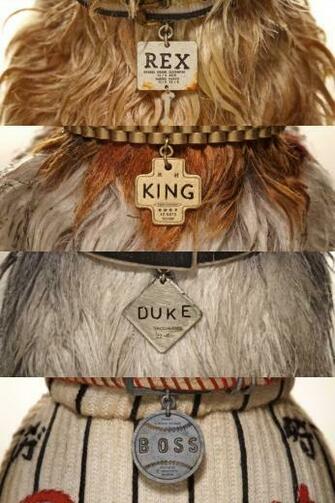 Isle Of Dogs Wes Anderson In
