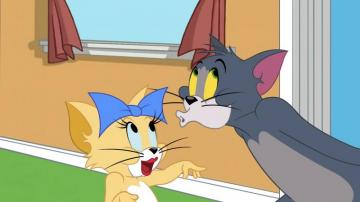 Tom And Jerry Sodles Season Wallpaper Teahub Io