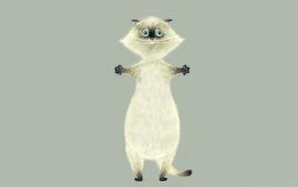 Cat Background Wallpaper Win10 Themes
