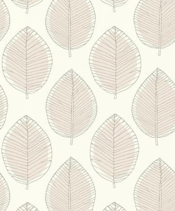 Neutral Wallpaper Top Background