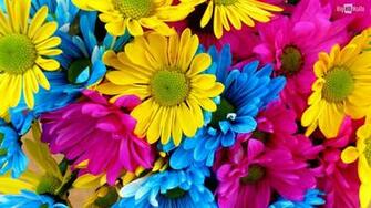 Colorful HD Desktop Background BigHDwalls