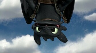 Toothless Httyd The Dragon Photo