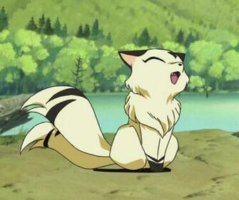 Kirara Inuyasha Fandom