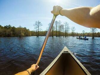 Boat Pond Wallpaper