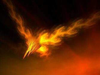 Phoenix Bird HD Wallpaper