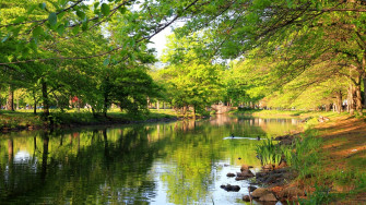 Sunny Spring Day On Bega River Wallpaper HD