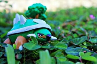 Torterra Wallpaper Pokesnap By
