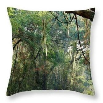 Murrells Inlet Rain Forrest Galaxy S6 Case By Brian Hamilton