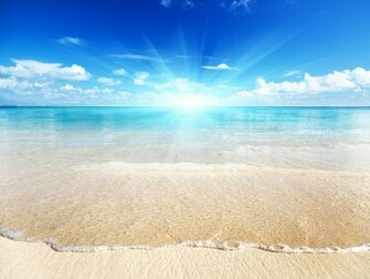 Sunny Day Image Crazy Gallery