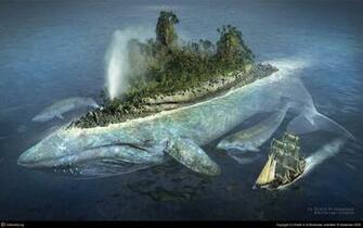 Old Very Big Shark HD Wallpaper Update