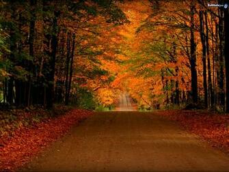 Fall Screensavers And Wallpaper Orange Autumn