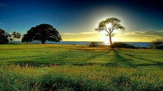 Cool Spring Image Wallpaper Best HD