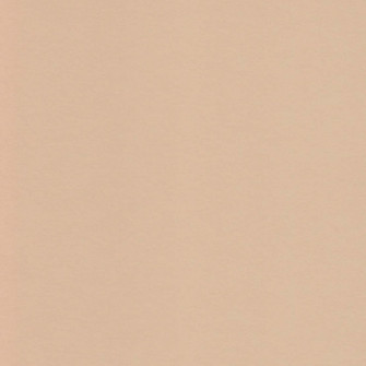 Neutral Color Background Wallpaper