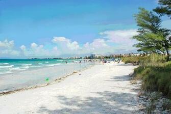 Siesta Key In Sarasota Florida Beach Tattoo Design Bild