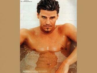 Hot Guys Image Wallpaper Photos