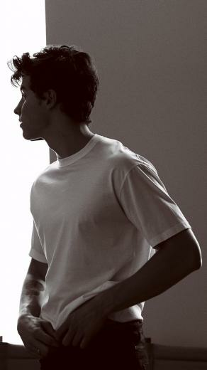 Shawn Mendes Wallpaper Poses In