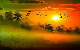 Good Background Pictures Desktop Image