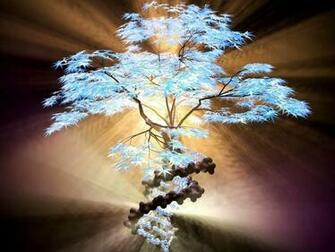 Tree Of Life Wallpaper