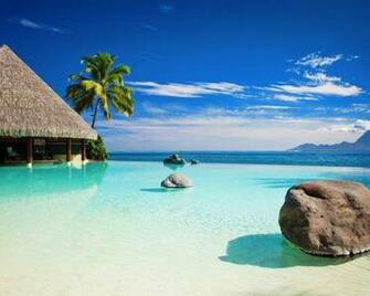 Bar In Paradise HD Wallpaper Mela