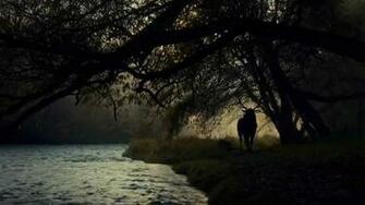 Nbc Hannibal Wallpaper Px Mb Picserio