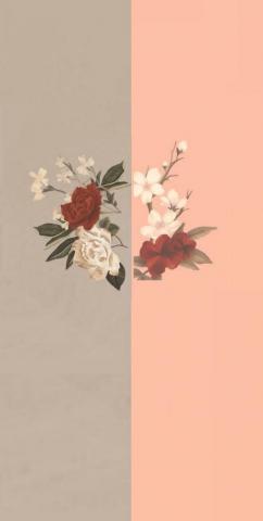 Wallpaper Phone iPhone Android Simple Aesthetic Pretty