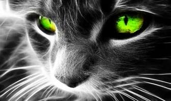 Verde Mistico Gatto Occhi Close Up Sfondi Desktop