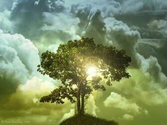 Windows Vista Wallpaper The Tree Of Life