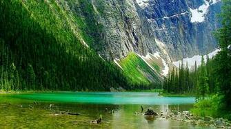 Amazing Colorful Landscape Wallpaper Full HD