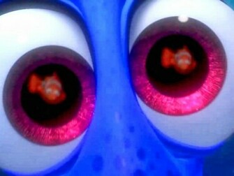 Desktop Wallpaper Finding Nemo