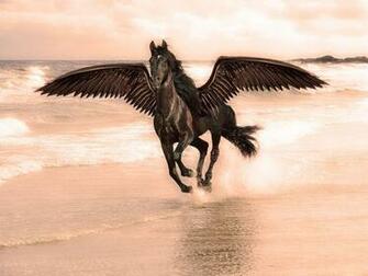 Wild Horses Wallpaper For My Desktop HD