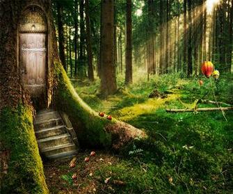 Fairy Tale Live Wallpaper Android Apps On Google Play