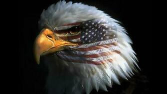 American Eagles Flags Eagle Flag HD Wallpaper General