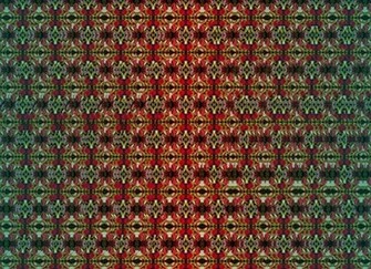 Stereogram Wallpaper