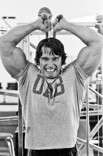 Arnold Schwarzenegger Gold S Gym Venice Beach Ca Al
