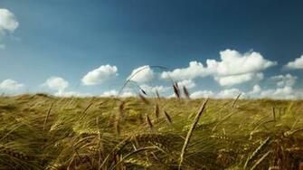 Summer Wind Desktop Pc And Mac Wallpaper