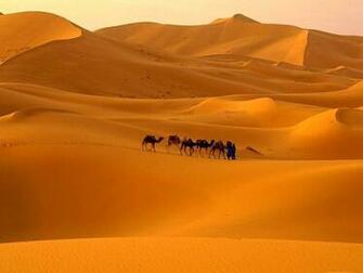 Desert Scene Wallpaper