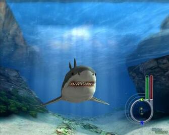 Jaws HD Wallpaper In Movies Imageci