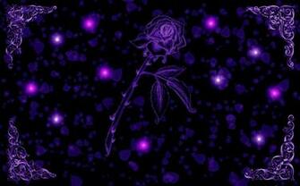 Dark Purple Rose Background Image Pictures Becuo